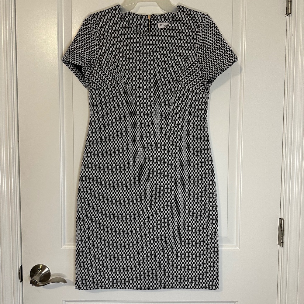 Calvin Klein Black and White Dress